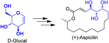 Graphical abstract: ‘Chiron’ approach to the total synthesis of macrolide (+)-Aspicilin