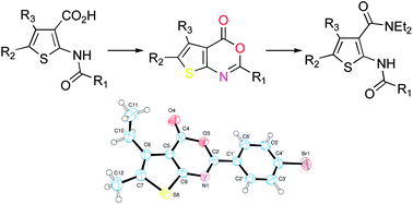 Graphical abstract: Synthesis, structural properties, and pharmacological evaluation of 2-(acylamino)thiophene-3-carboxamides and analogues thereof