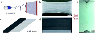 Graphical abstract: Conductive functional biscrolled polymer and carbon nanotube yarns