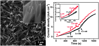 Graphical abstract: One-dimensional copper oxide nanotube arrays: biosensors for glucose detection