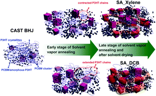 Graphical abstract: Insights into solvent vapor annealing on the performance of bulk heterojunction solar cells by a quantitative nanomorphology study