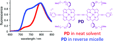 Graphical abstract: Conformational preference of a porphyrin rotor in confined environments