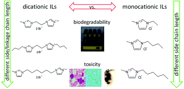 Graphical abstract: Toxicity and biodegradability of dicationic ionic liquids