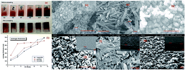 Graphical abstract: Interfacial phenomena in hematite photoanodes fabricated by directly associating iron oxide suspensions with FTO substrates using a dipping-annealing method