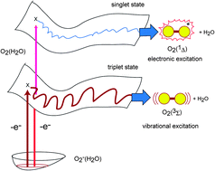 Graphical abstract: Electron detachment dynamics of O2−(H2O): direct ab initio molecular dynamics (AIMD) approach