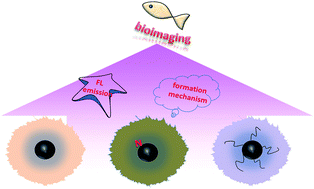 Graphical abstract: High-yield and high-solubility nitrogen-doped carbon dots: formation, fluorescence mechanism and imaging application