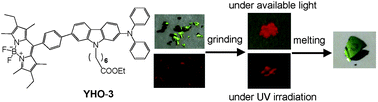 Graphical abstract: BODIPY dye possessing solid-state red fluorescence and green metallic luster properties in both crystalline and amorphous states