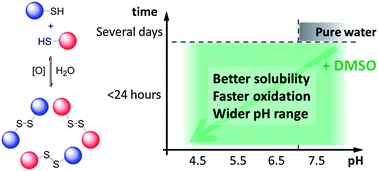 Graphical abstract: The effect of DMSO in the aqueous thiol–disulphide dynamic covalent chemistry of model pseudopeptides