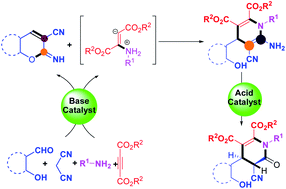 Graphical abstract: One-pot four-component approach for the construction of dihydropyridines and dihydropyridinones using amines and activated alkynes