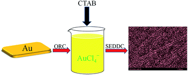 Graphical abstract: Surfactant-assisted preparation of surface-enhanced Raman scattering-active substrates