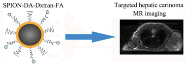 Graphical abstract: Folic acid modified superparamagnetic iron oxide nanocomposites for targeted hepatic carcinoma MR imaging