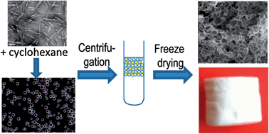 Graphical abstract: Versatile cellular foams derived from CNC-stabilized Pickering emulsions