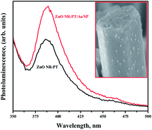 Graphical abstract: Enhanced luminescence and charge separation in polythiophene-grafted, gold nanoparticle-decorated, 1-D ZnO nanorods