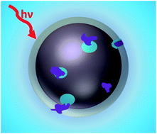 Graphical abstract: Morphology changes of ionic liquid encapsulating polymer microcontainers upon X-ray irradiation