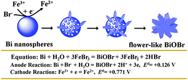 Graphical abstract: Direct conversion of Bi nanospheres into 3D flower-like BiOBr nanoarchitectures with enhanced photocatalytic properties