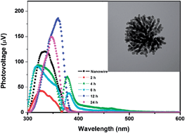 Graphical abstract: Synthesis of a tailored SrTiO3–TiO2 microspherical photocatalyst and its photogenerated charge properties