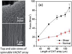 Graphical abstract: Mimicking a gecko’s foot with strong adhesive strength based on a spinnable vertically aligned carbon nanotube array