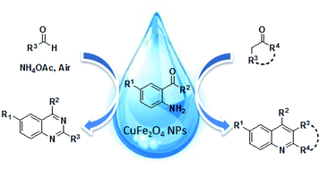 Graphical abstract: CuFe2O4 nanoparticles: a magnetically recoverable and reusable catalyst for the synthesis of quinoline and quinazoline derivatives in aqueous media