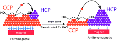 Graphical abstract: Mechanism of polyol assisted ccp to hcp crystal phase conversion of nickel particles
