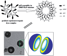 Graphical abstract: Fabrication of size controllable polymeric hollow nanospheres containing azo functional groups via ionic self-assembly