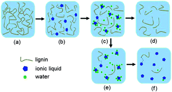 Graphical abstract: Dissolution, regeneration and characterisation of formic acid and Alcell lignin in ionic liquid-based systems