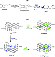 Graphical abstract: Insulin loaded iron magnetic nanoparticle–graphene oxide composites: synthesis, characterization and application for in vivo delivery of insulin