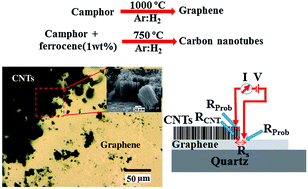 Graphical abstract: Synthesis of a three dimensional structure of vertically aligned carbon nanotubes and graphene from a single solid carbon source