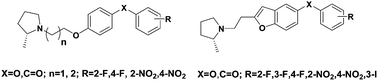 Graphical abstract: Synthesis and biological evaluation of XB-1 analogues as novel histamine H3 receptor antagonists and neuroprotective agents