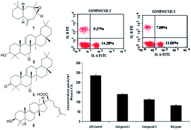 Graphical abstract: Anti-inflammatory terpenoids from Boswellia ovalifoliolata