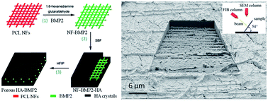 Graphical abstract: Biomimetic 3D hydroxyapatite architectures with interconnected pores based on electrospun biaxially orientated PCL nanofibers