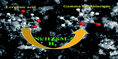 Graphical abstract: Ni/H-ZSM-5 as a promising catalyst for vapour phase hydrogenation of levulinic acid at atmospheric pressure