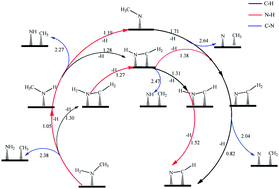 Graphical abstract: Decomposition mechanism of methylamine to hydrogen cyanide on Pt(111): selectivity of the C–H, N–H and C–N bond scissions