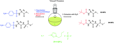 Graphical abstract: Deprotection/reprotection of the amino group in α-amino acids and peptides. A one-pot procedure in [Bmim][BF4] ionic liquid
