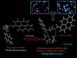 Graphical abstract: A visible light excitable pyrene–naphthalene conjugate for ON fluorescence sensing of histidine in living cells