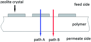 Graphical abstract: Synthesis and characterization of a novel type of mixed matrix membrane: surface sieving membrane