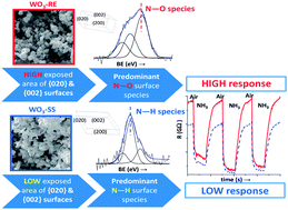 Graphical abstract: Surface interaction of WO3 nanocrystals with NH3. Role of the exposed crystal surfaces and porous structure in enhancing the electrical response