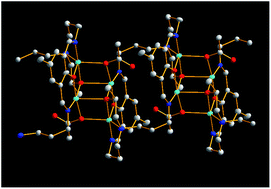 Graphical abstract: A unique coordination polymer with tetranuclear nickel(ii) units linked by macrocyclic ligands