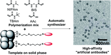 Graphical abstract: Automatic reactor for solid-phase synthesis of molecularly imprinted polymeric nanoparticles (MIP NPs) in water