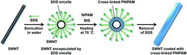 Graphical abstract: Polymer synthesis inside a nanospace of a surfactant–micelle on carbon nanotubes: creation of highly-stable individual nanotubes/ultrathin cross-linked polymer hybrids