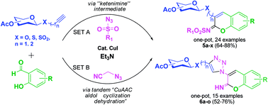 Graphical abstract: Copper-catalyzed one-pot synthesis of glycosylated iminocoumarins and 3-triazolyl-2-iminocoumarins