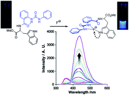 Graphical abstract: Exploring urea–fluoride interactions in the vicinity of a tryptophan residue