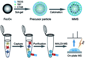 Graphical abstract: Magnetic mesoporous silica incorporated with TiO2 for selective and rapid capture of peptides