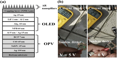 Graphical abstract: Efficiency improvement of organic bifunctional devices by applying omnidirectional antireflection nanopillars