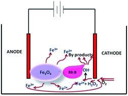 Graphical abstract: Magnetite as a heterogeneous electro Fenton catalyst for the removal of Rhodamine B from aqueous solution