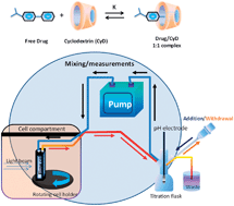 Graphical abstract: Rapid analysis of drug binding to β-cyclodextrin: part II substituents effect on physicochemical and co-conformational stability of drug/cyclodextrin complex