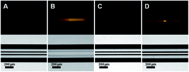 Graphical abstract: In situ synthesis of protein-resistant poly(oligo(ethylene glycol)methacrylate) films in capillary for protein separation