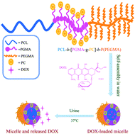 Graphical abstract: Amphiphilic block copolymer micelles with fluorescence as nano-carriers for doxorubicin delivery