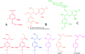 Graphical abstract: The structural changes of lignin and lignin–carbohydrate complexes in corn stover induced by mild sodium hydroxide treatment