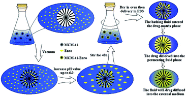 Graphical abstract: High-efficiency loading in small mesopores (2–3 nm) forming a matrix type controlled drug delivery nanosystem