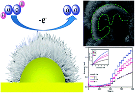 Graphical abstract: Rational design of CuO@Cu nanostructure with tuneable morphology and electrochemical properties